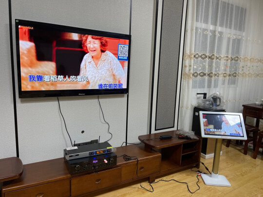 山水（SANSUI）sp9家庭10寸KTV音响套装全套家用会议卡包音响电视卡拉OK音箱套装8寸6寸 8吋版本+话筒+2TB点歌机