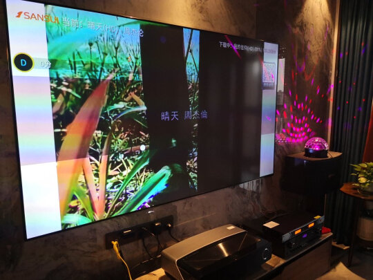 山水（SANSUI）sp9家庭10寸KTV音响套装全套家用会议卡包音响电视卡拉OK音箱套装8寸6寸 8吋版本+话筒+2TB点歌机